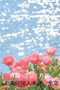 此去经年人未还：高分完本