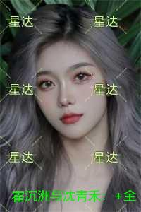 霍沉洲与沈青禾：+全文+后续