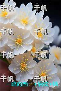 一路向西：火爆小说