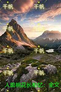 人面桃花长相忆：全局
