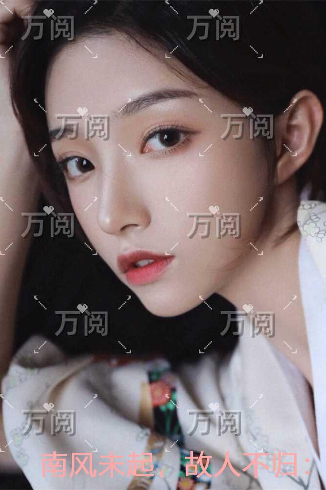 南风未起，故人不归：免费+结局