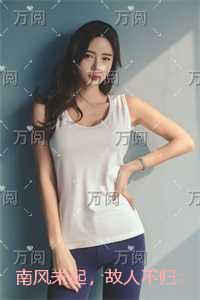 南风未起，故人不归：结局+番外