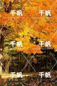 心上宠：结局+番外,宋轻语傅晏