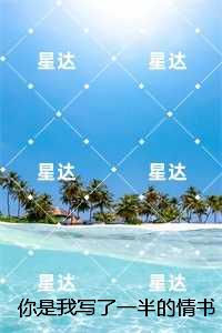 你是我写了一半的情书：+后续+结局