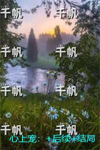 心上宠：全文+免费