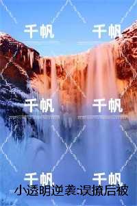 小透明逆袭:误撩后被大佬宠上天：全本