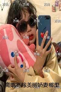 离婚高嫁美丽娇妻哪里逃：+后续+结局
