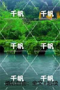 婚后自由：全文无弹窗