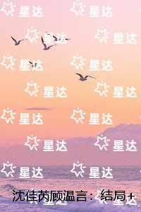 沈佳芮顾温言：全文版