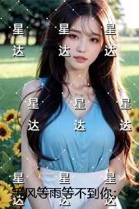 等风等雨等不到你全面完结