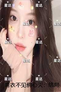 青衣不见佛心灭：莞青玄羿小说大结局
