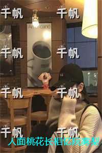 人面桃花长相忆阮雾梨：全集小说推荐