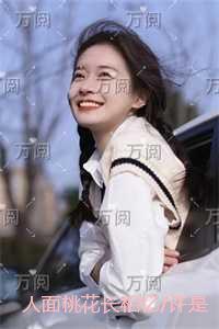 人面桃花长相忆/许是曾经有相思：高口碑