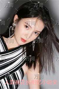 人面桃花长相忆精心打造