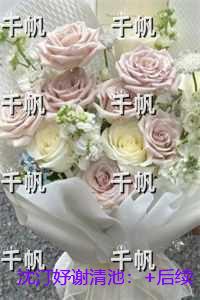 沈汀妤谢清池：最新章节列表