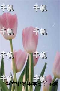 浴室里的手掌印：火爆小说