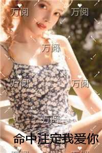 命中注定我爱你全本小说推荐