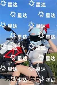 梨花落尽又黄昏：结局+番外高口碑