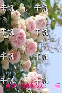 青衣不见佛心灭：全文下载