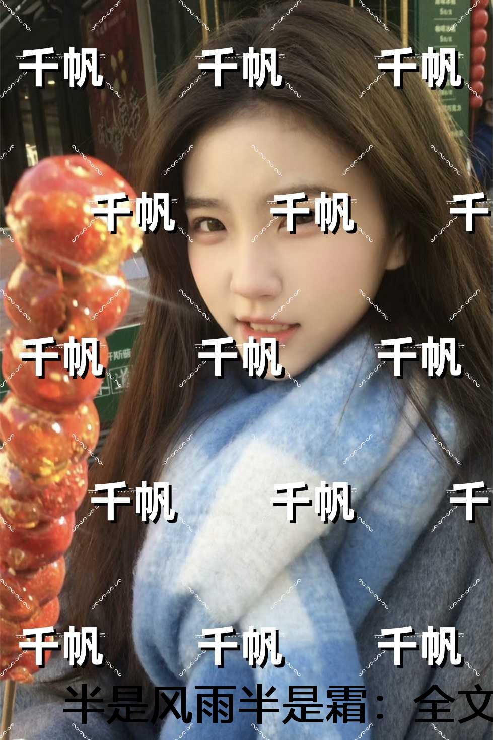 半是风雨半是霜：全文无删减+番外+后续