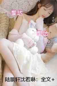 陆景轩沈若琳：+番外+结局