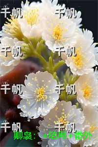 卿袅：免费+番外
