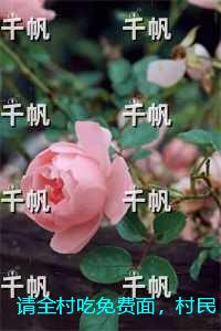 请全村吃免费面，村民和我打官司：+结局+番外