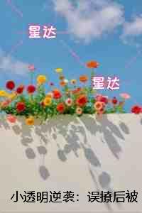 小透明逆袭：误撩后被大佬宠上天：+后续+结局