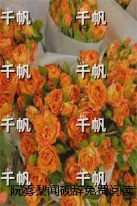 阮雾梨闻砚辞免费阅读：+后续+结局