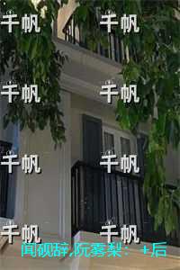 闻砚辞,阮雾梨：+后续+结局