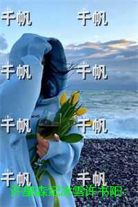 许星森纪冰雪许书阳：+后续+结局