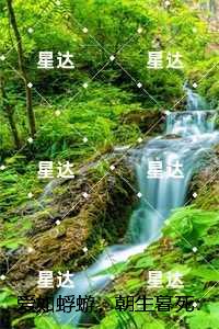 爱如蜉蝣，朝生暮死：结局+番外