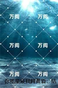 你揽星辰我拥黄昏：结局+番外,尤雾眠晏沉舟