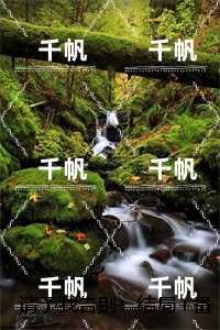 请予我告别：结局+番外