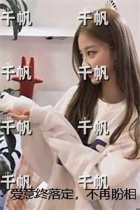 爱意终落定，不再盼相逢：+后续+完本