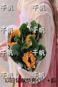 以回忆献祭真心：+后续+完本