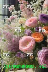 淡月烟雨寄朝朝：+后续+结局