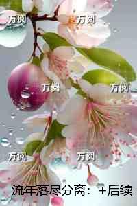 流年落尽分离：+后续+结局