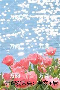 云深爱未央：全文+后续