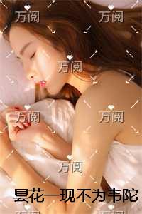 昙花一现不为韦陀