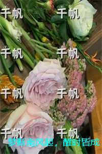梦断南风起，醒时皆成空：+后续+结局