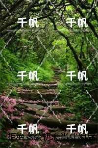 拒绝老公初恋当伴娘后,我被做成台球宴：结局+番外