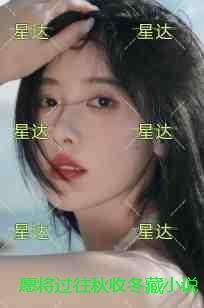 愿将过往秋收冬藏小说：全文+后续+结局