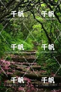 此去经年人未还：全面完结