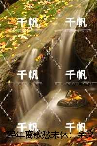 经年离歌愁未休：+番外+后续