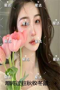 愿将过往秋收冬藏精选作品之一