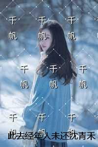此去经年人未还沈青禾：精品选集