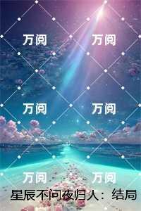 星辰不问夜归人：结局+番外
