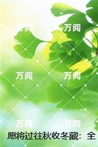 愿将过往秋收冬藏：爽文