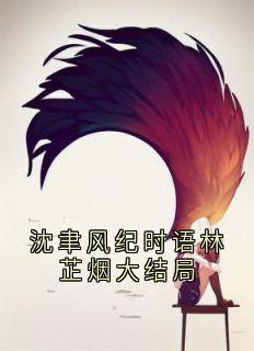 沈聿风纪时语林芷烟大结局